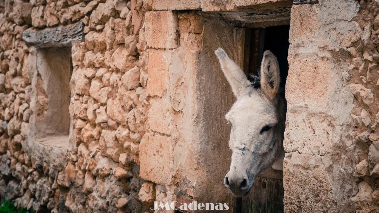 منزل الضيف Utande  في Casa La Nuri المظهر الخارجي الصورة