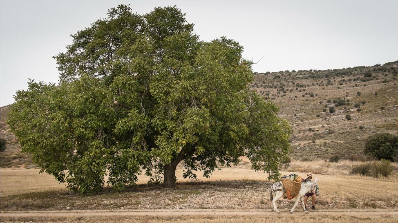 منزل الضيف Utande  في Casa La Nuri المظهر الخارجي الصورة